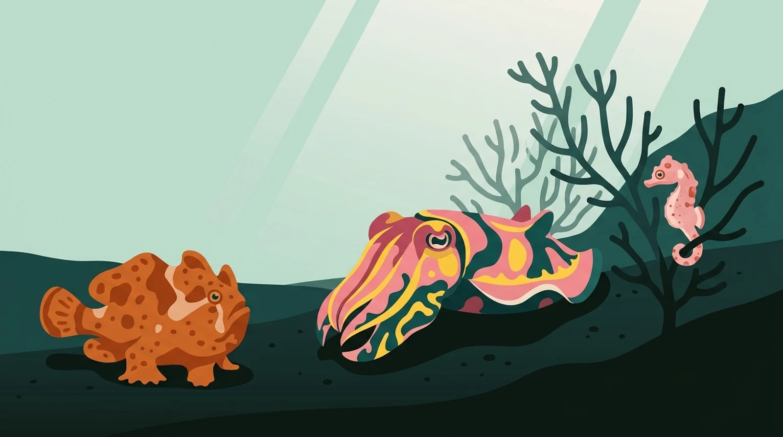 Illustration of a cuttlefish, a frogfish and a pygmy seahorse on a patch of dark volcanic sand